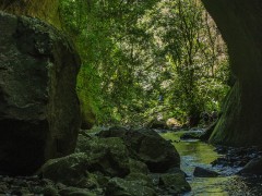 Cascata das Andorinhas e Chuvisqueiro - Riozinho e Rolante - RS